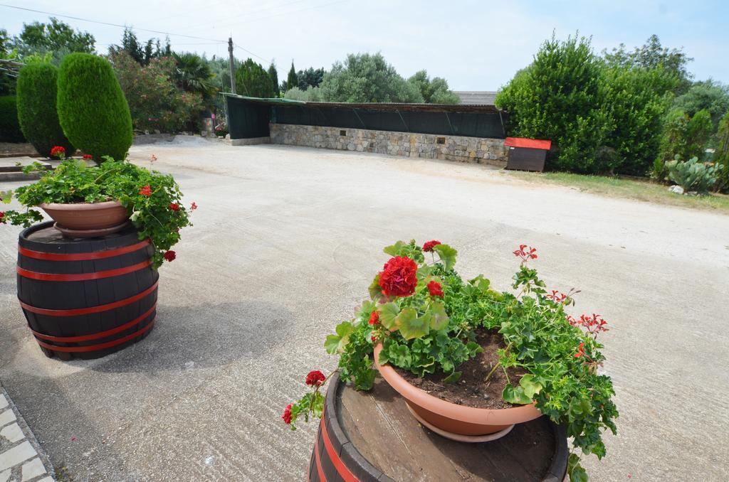 Apartament Ana & Mauricio Rovinj Pokój zdjęcie