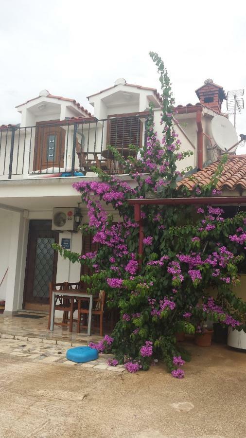 Apartament Ana & Mauricio Rovinj Zewnętrze zdjęcie
